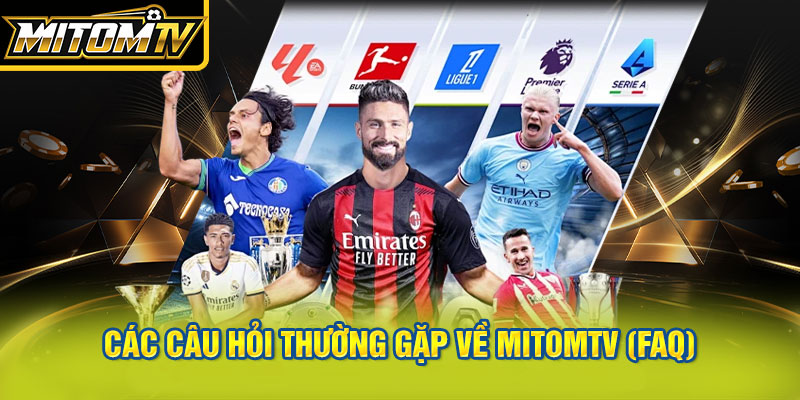 Các câu hỏi thường gặp về MitomTV (FAQ)