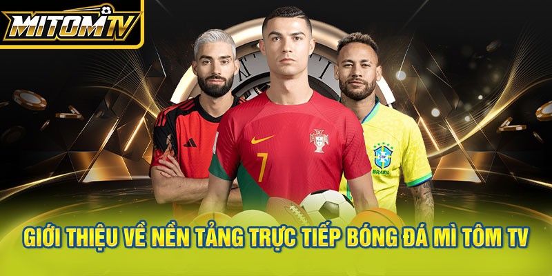 Giới thiệu về MitomTV