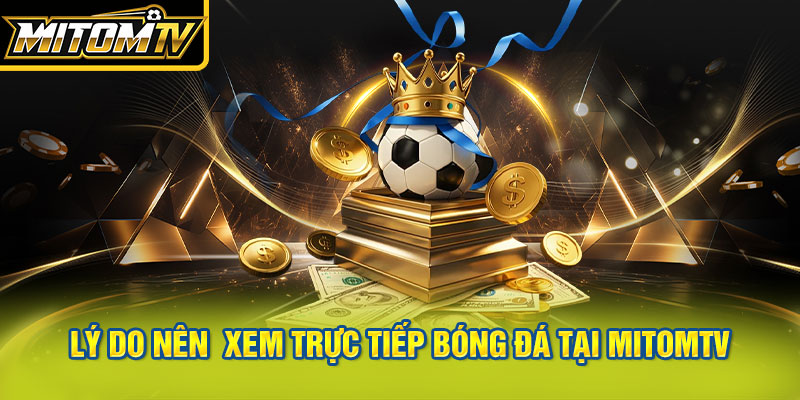 Lý do nên lựa chọn xem trực tiếp bóng đá tại MitomTV