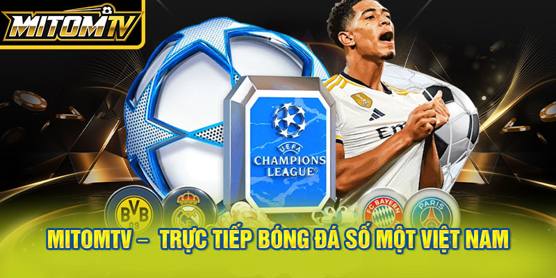 MitomTV – Điểm đến trực tiếp bóng đá số một Việt Nam